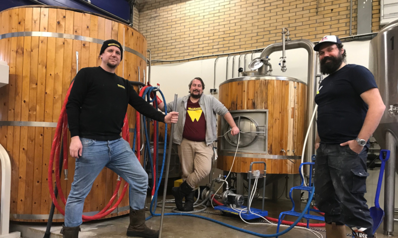 Walhalla brouwdag beer geeks beat als Drie brouwers tijdens de Walhalla brouwdag van beer geeks beat als 2021